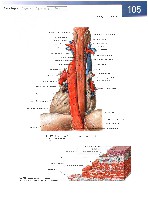 Sobotta  Atlas of Human Anatomy  Trunk, Viscera,Lower Limb Volume2 2006, page 112